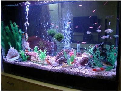 水族水质