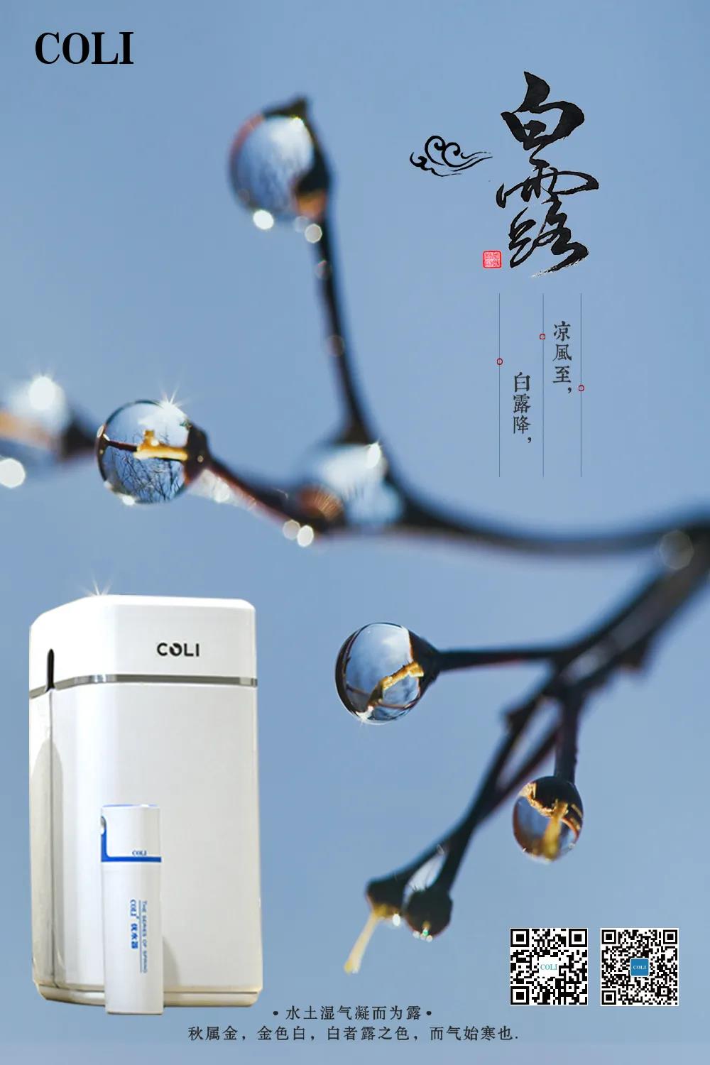 科淋白露节气海报